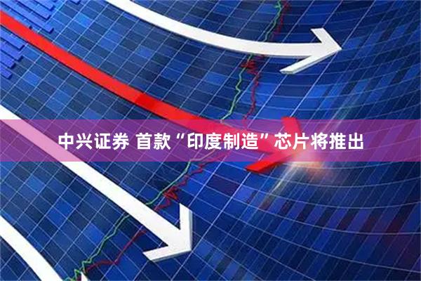 中兴证券 首款“印度制造”芯片将推出