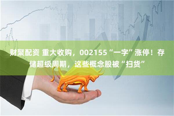 财聚配资 重大收购，002155“一字”涨停！存储超级周期，这些概念股被“扫货”