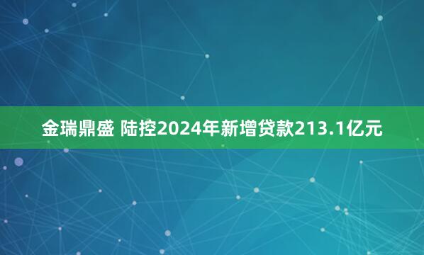 金瑞鼎盛 陆控2024年新增贷款213.1亿元