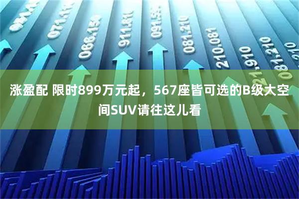 涨盈配 限时899万元起，567座皆可选的B级大空间SUV请往这儿看