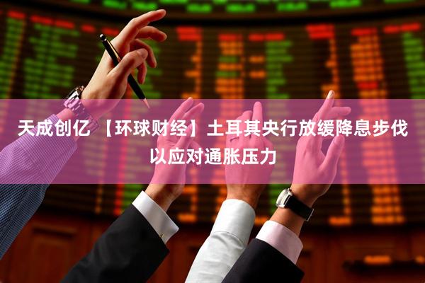 天成创亿 【环球财经】土耳其央行放缓降息步伐以应对通胀压力